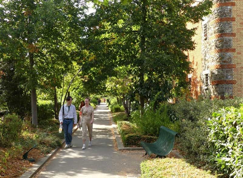 Elevated green walkway at Coulée Verte René-Dumont in Paris