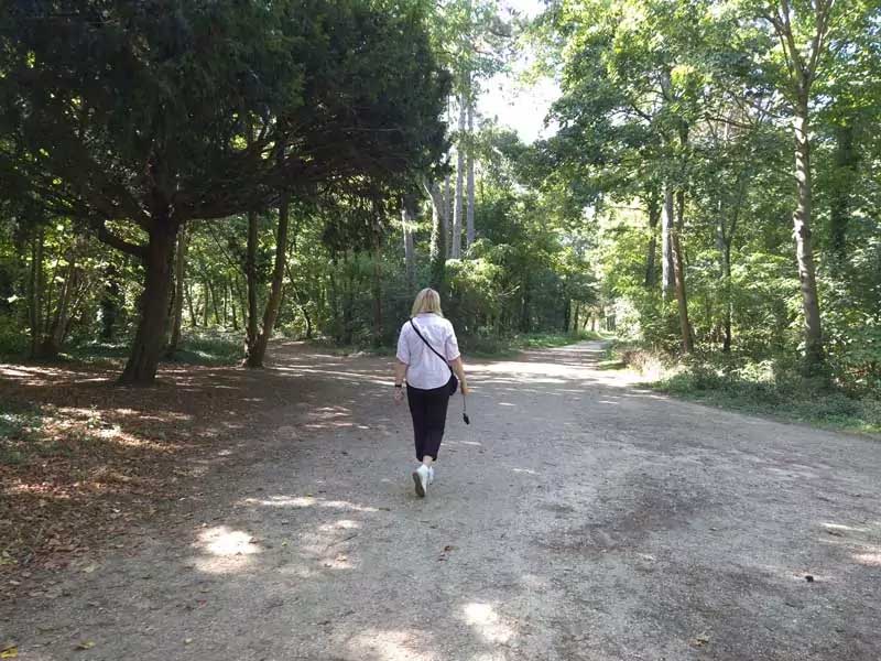Walking paths and greenery in the Bois de Boulogne near Roland Garros in Paris